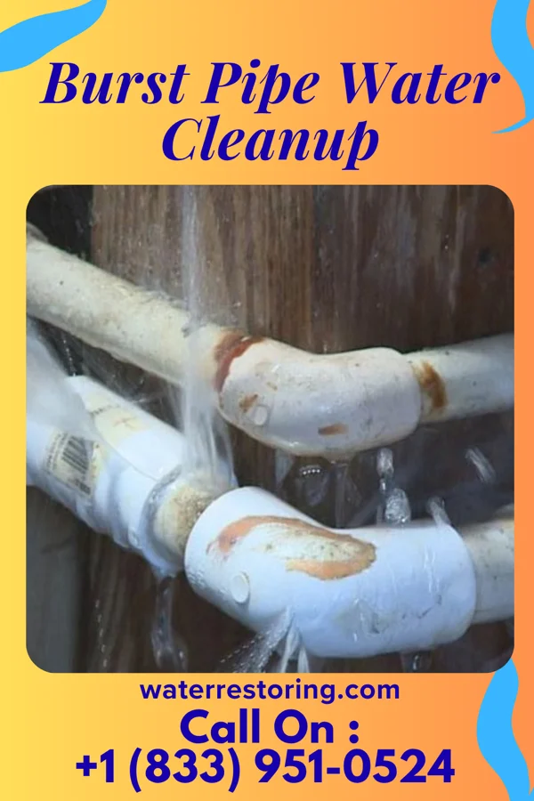 Burst Pipe Water Cleanup in Autryville, NC