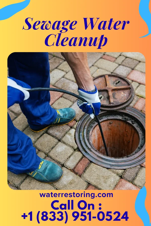 Sewage Water Cleanup in Autryville, NC